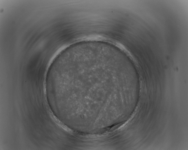 X0000073411232200608251516