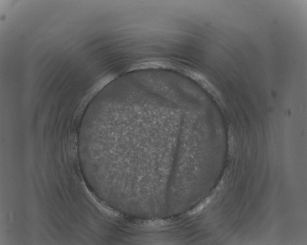 X0000073411233200608251516