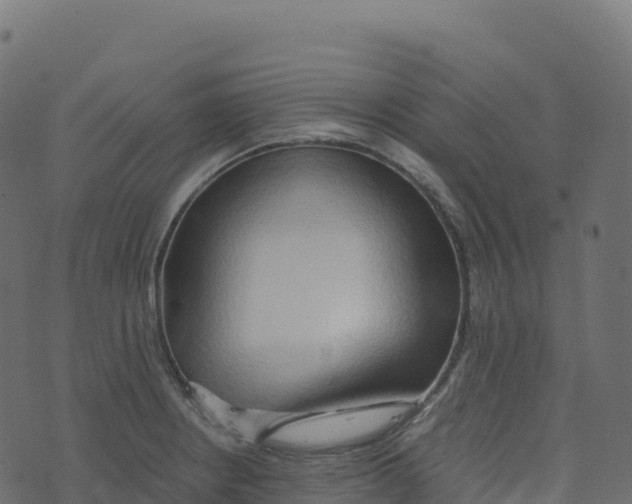 X0000073411234200608251516