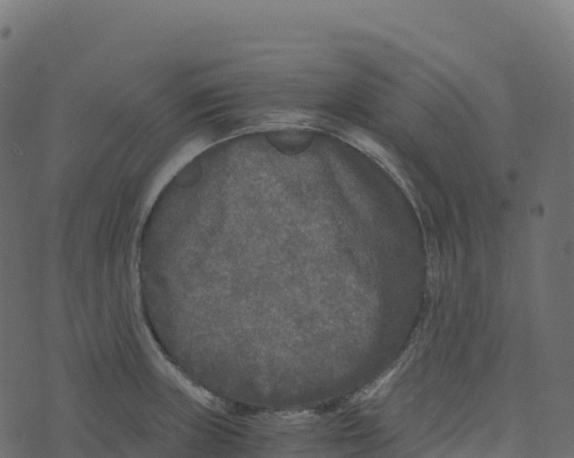 X0000073411235200608251516