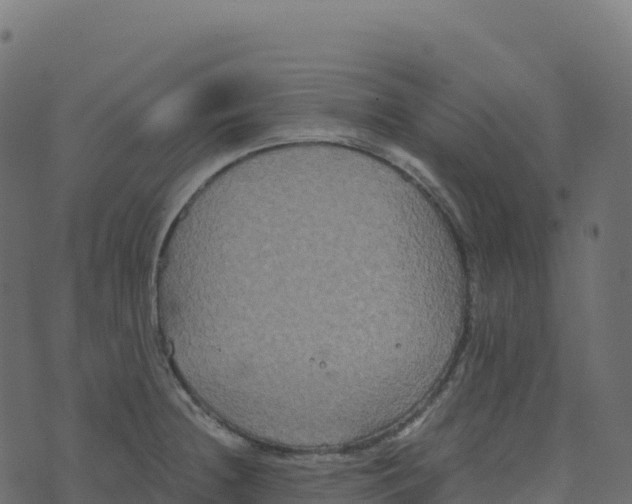 X0000073411236200608251516