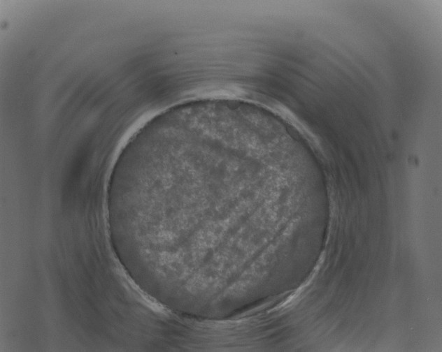 X0000073411240200608251517