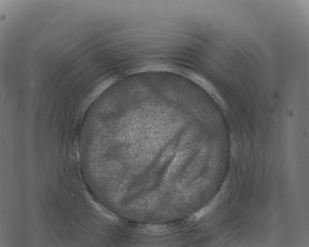 X0000073411241200608251517