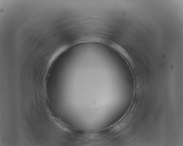 X0000073411242200608251517