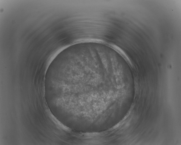 X0000073411244200608251517