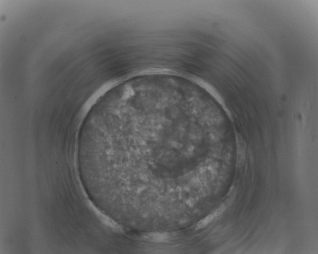 X0000073411245200608251517