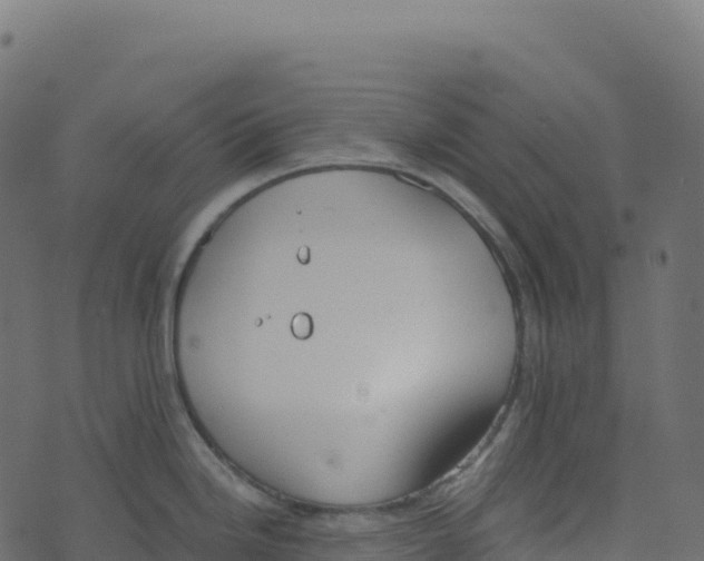 X0000073411246200608251517