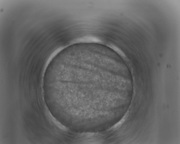 X0000073411248200608251517