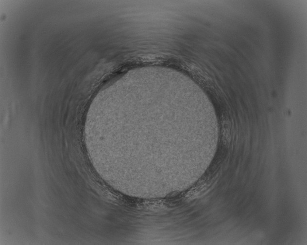 X0000073411249200608251516