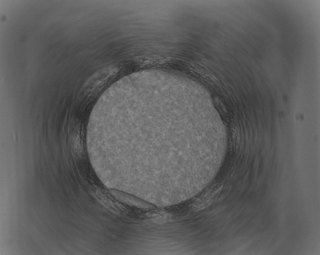 X0000073411250200608251516