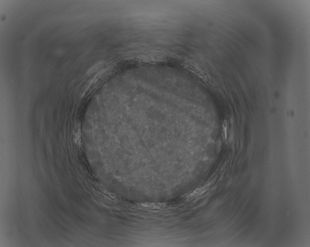 X0000073411251200608251516