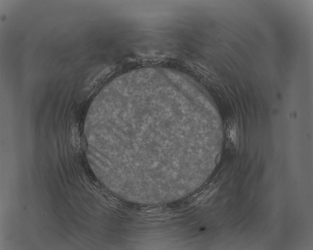 X0000073411252200608251516