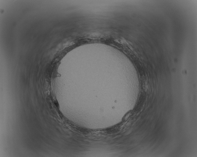 X0000073411253200608251516