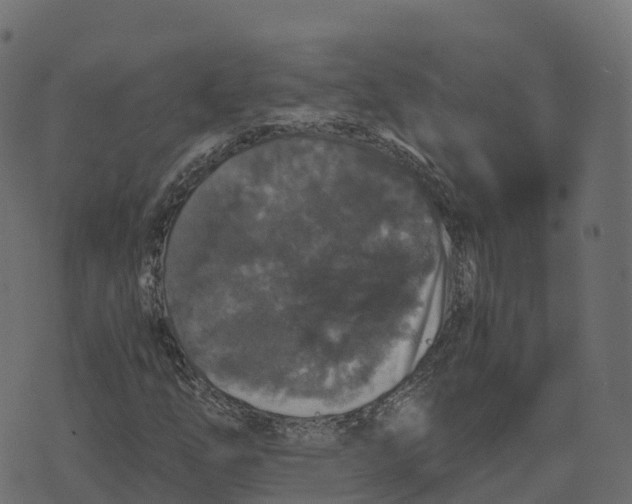 X0000073411254200608251516