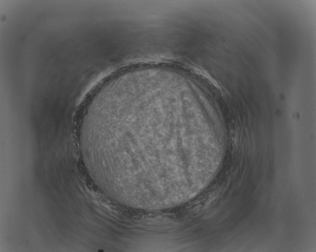 X0000073411256200608251516