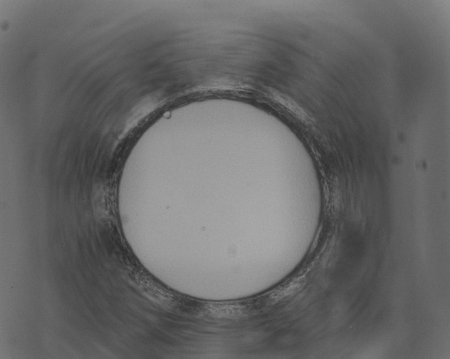 X0000073411258200608251516