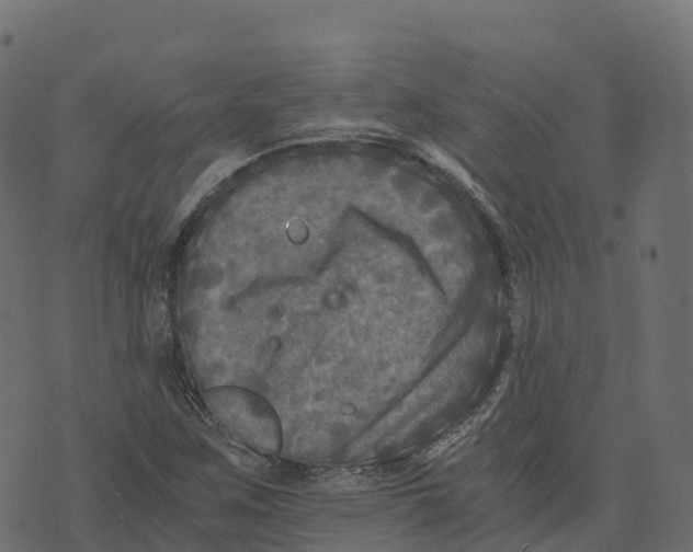 X0000073411259200608251516