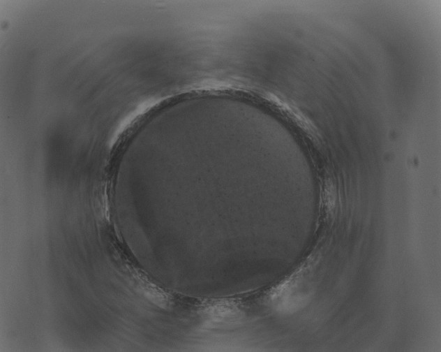 X0000073411262200608251516