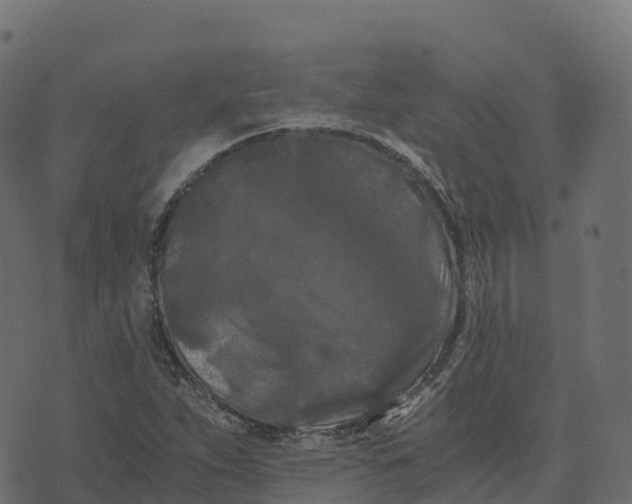 X0000073411263200608251516