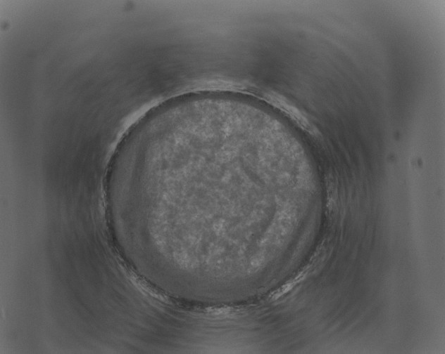 X0000073411264200608251516