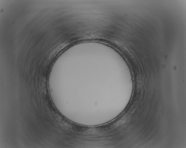 X0000073411265200608251516