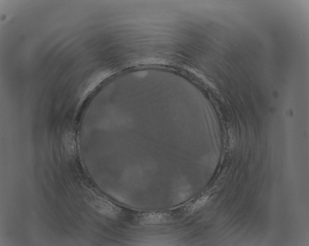 X0000073411266200608251516