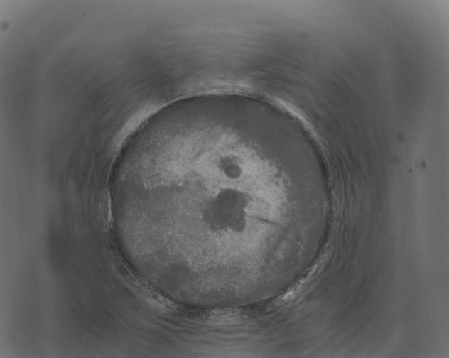 X0000073411267200608251516