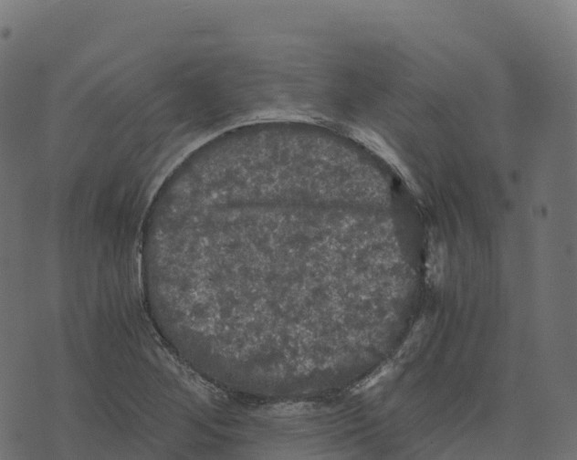 X0000073411268200608251516