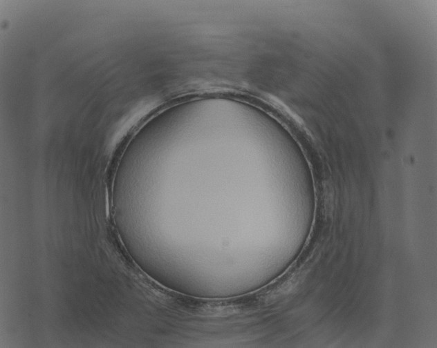 X0000073411269200608251516