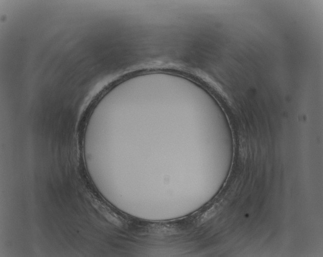 X0000073411270200608251516