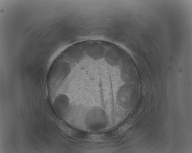 X0000073411271200608251515