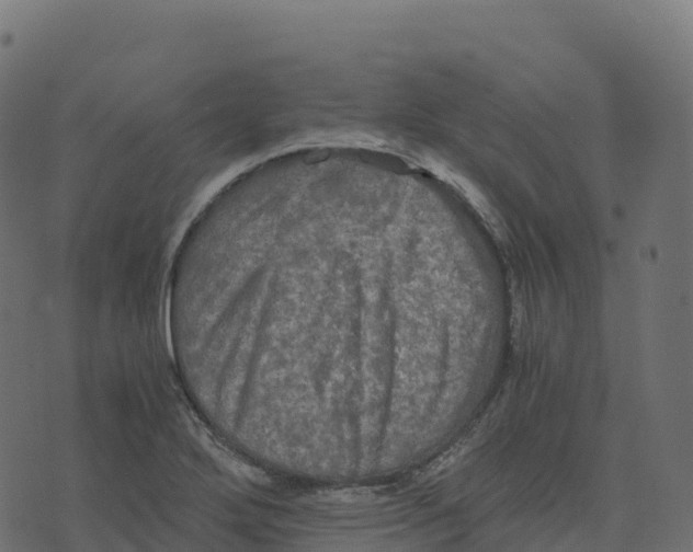 X0000073411272200608251515