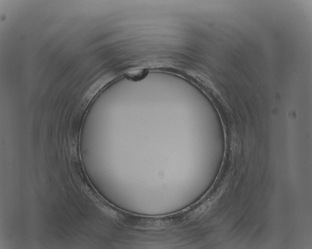 X0000073411273200608251515