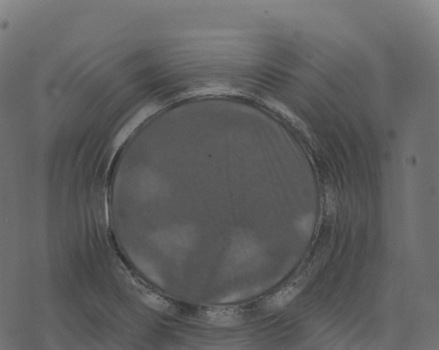 X0000073411274200608251515