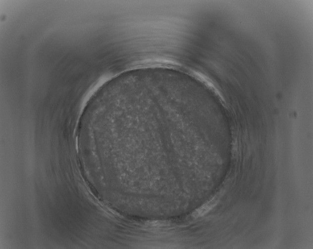 X0000073411275200608251515