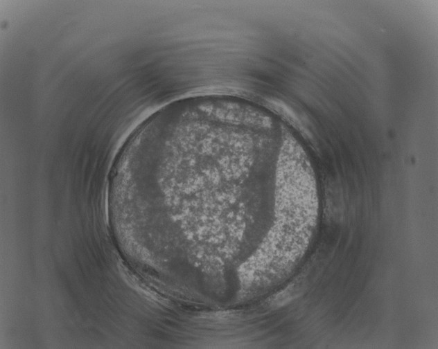 X0000073411276200608251515