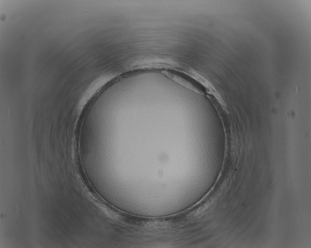 X0000073411277200608251515