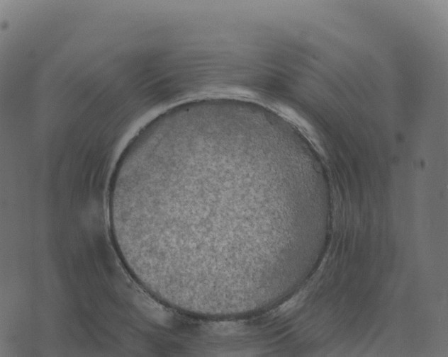 X0000073411280200608251515