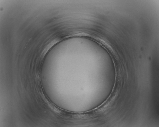 X0000073411281200608251515