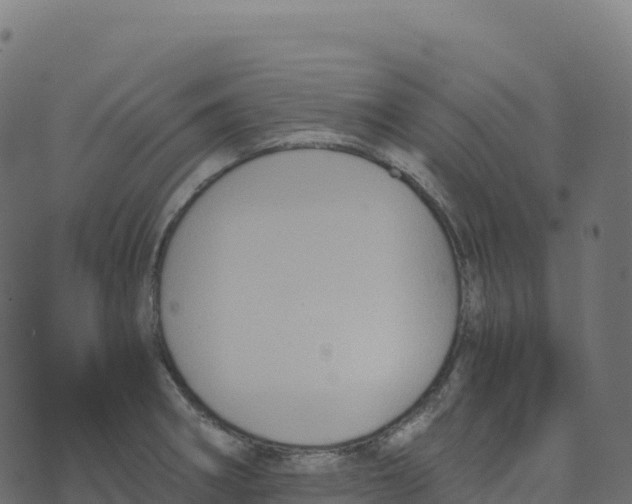 X0000073411282200608251515