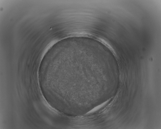 X0000073411283200608251515