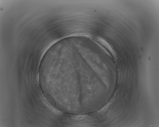 X0000073411284200608251515