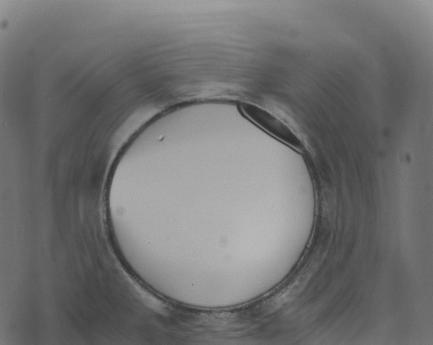 X0000073411285200608251515