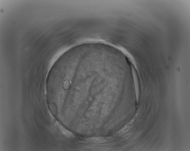 X0000073411287200608251515