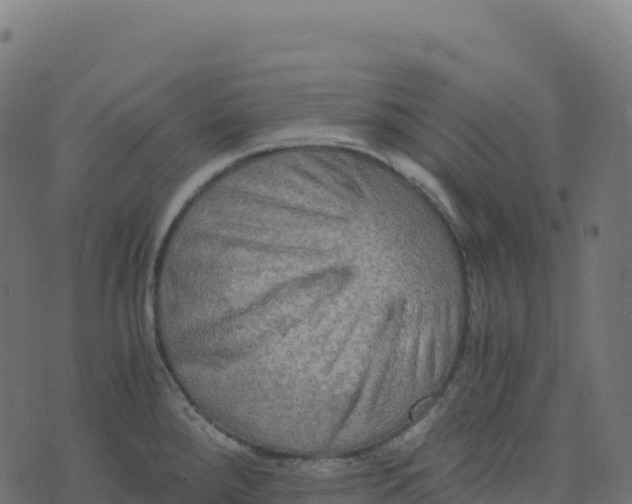 X0000073411288200608251515