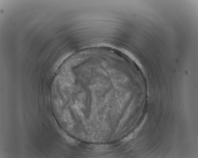 X0000073411289200608251515