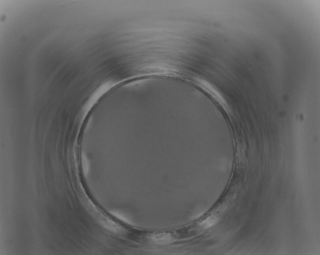 X0000073411291200608251515