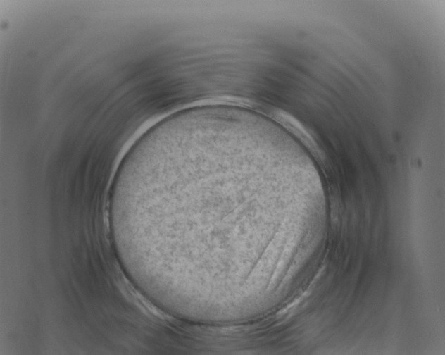 X0000073411292200608251515