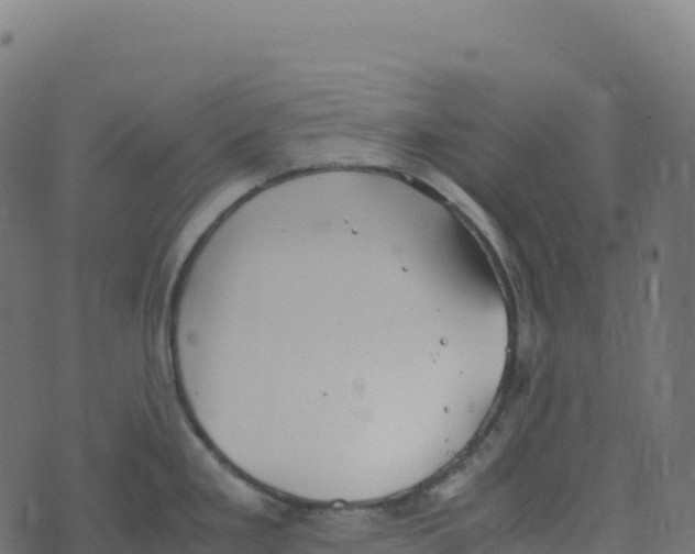 X0000073411293200608251515