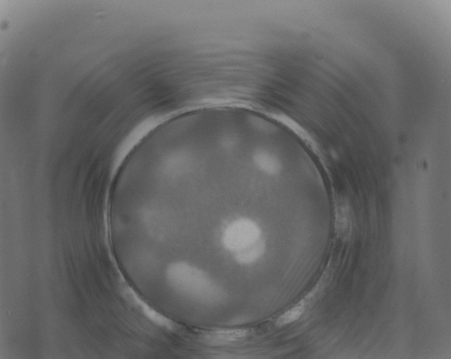 X0000073411294200608251515